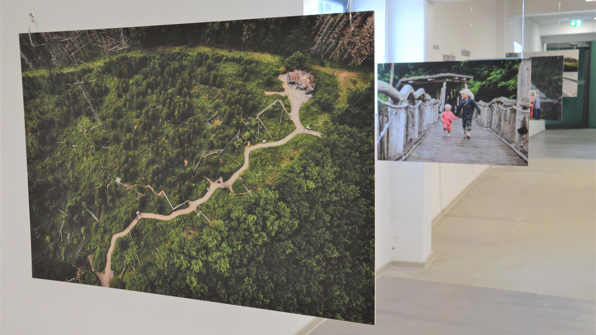 Mehrere Bilder hängen in einem Raum. Sie sind Bestandteil der Ausstellung barrierefreier Tourismus im Naturpark Nordeifel.