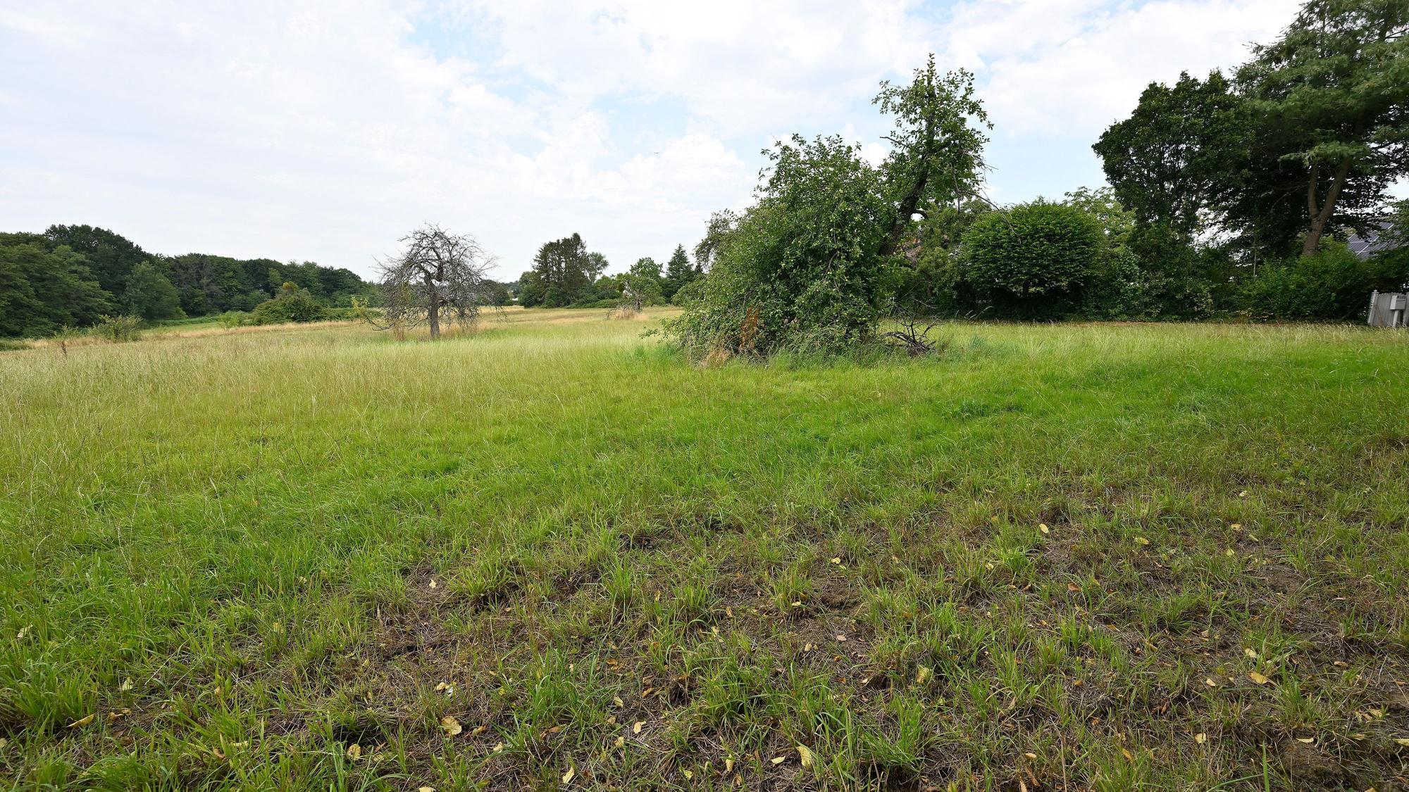 Geplantes Baugebiet hinter dem Altvolberger Hof.