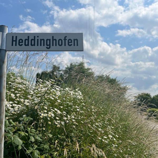 Ein Saum am Wegrand der Heddinghofener Straße in Burscheid.