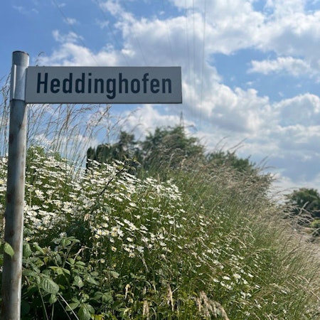 Ein Saum am Wegrand der Heddinghofener Straße in Burscheid.