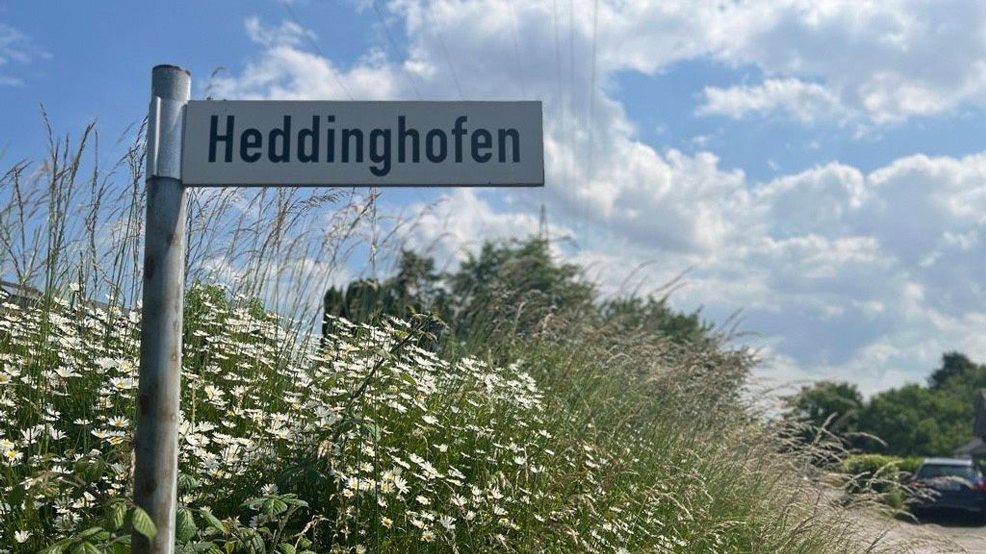 Ein Saum am Wegrand der Heddinghofener Straße in Burscheid.