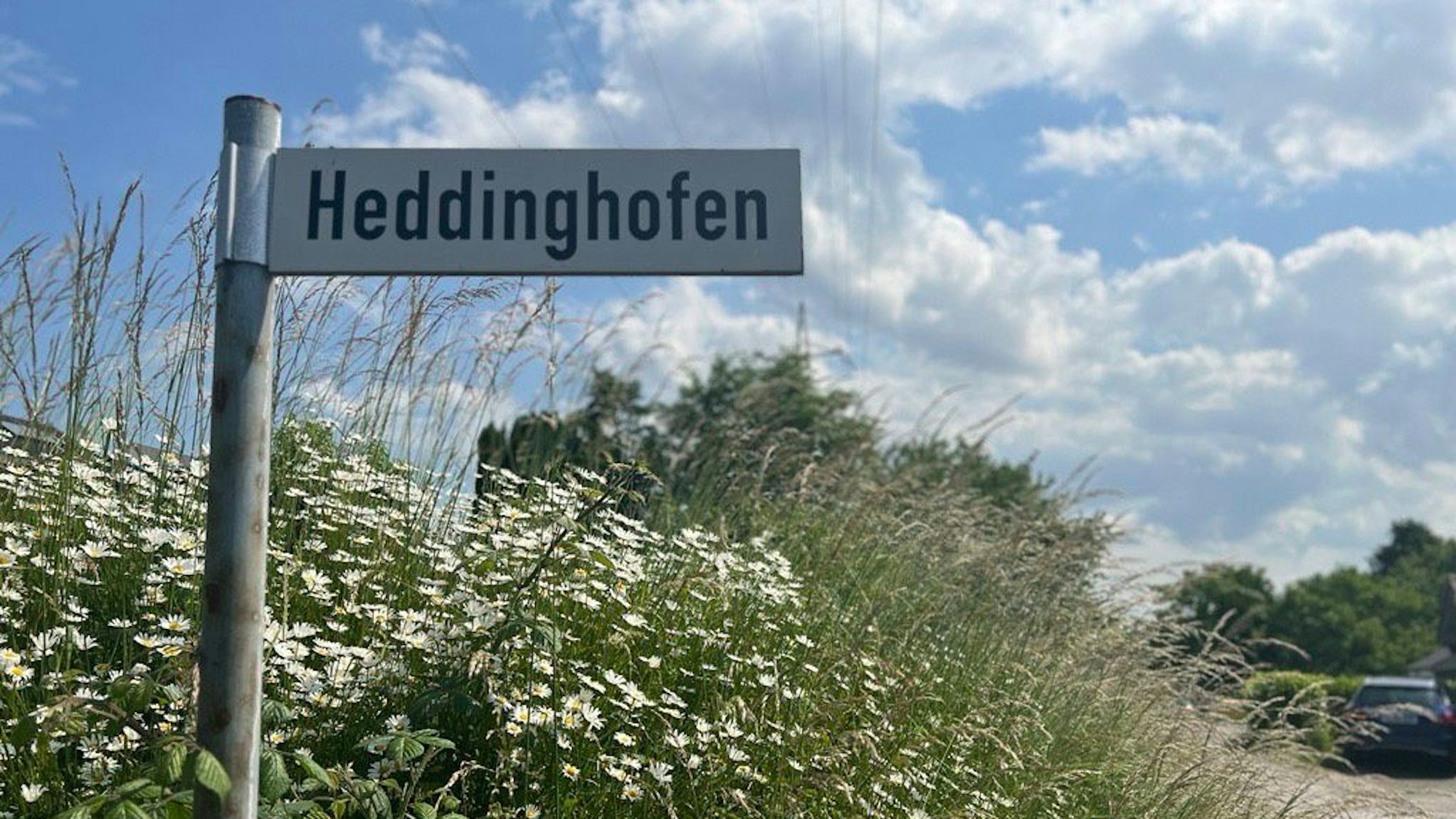 Ein Saum am Wegrand der Heddinghofener Straße in Burscheid.