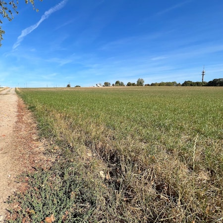 Auf den Heunen, umstrittener Standort für neue Opladener Feuerwache