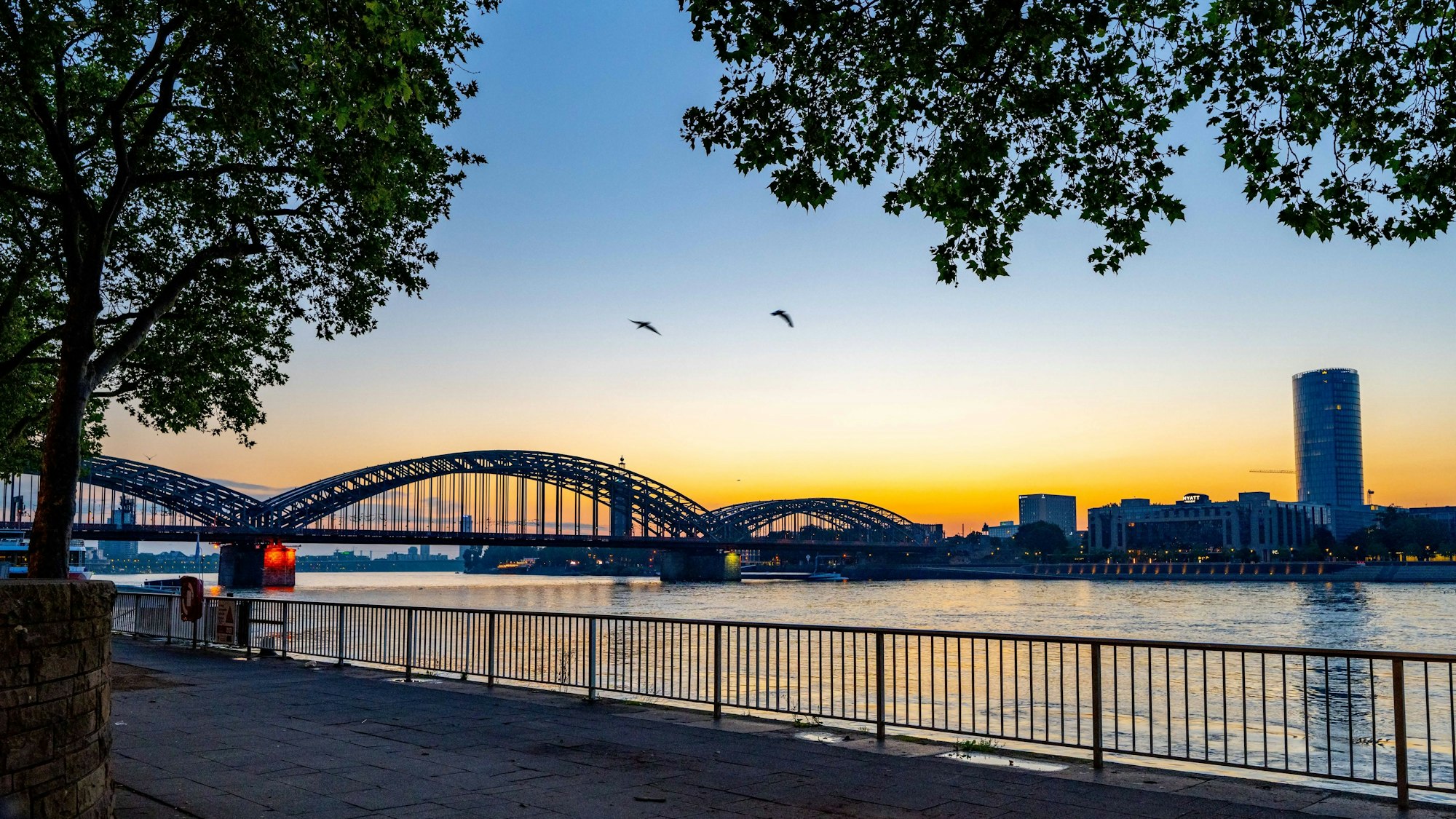 Köln: Sonnenaufgang am Altstadtufer. Foto: Uwe Weiser
