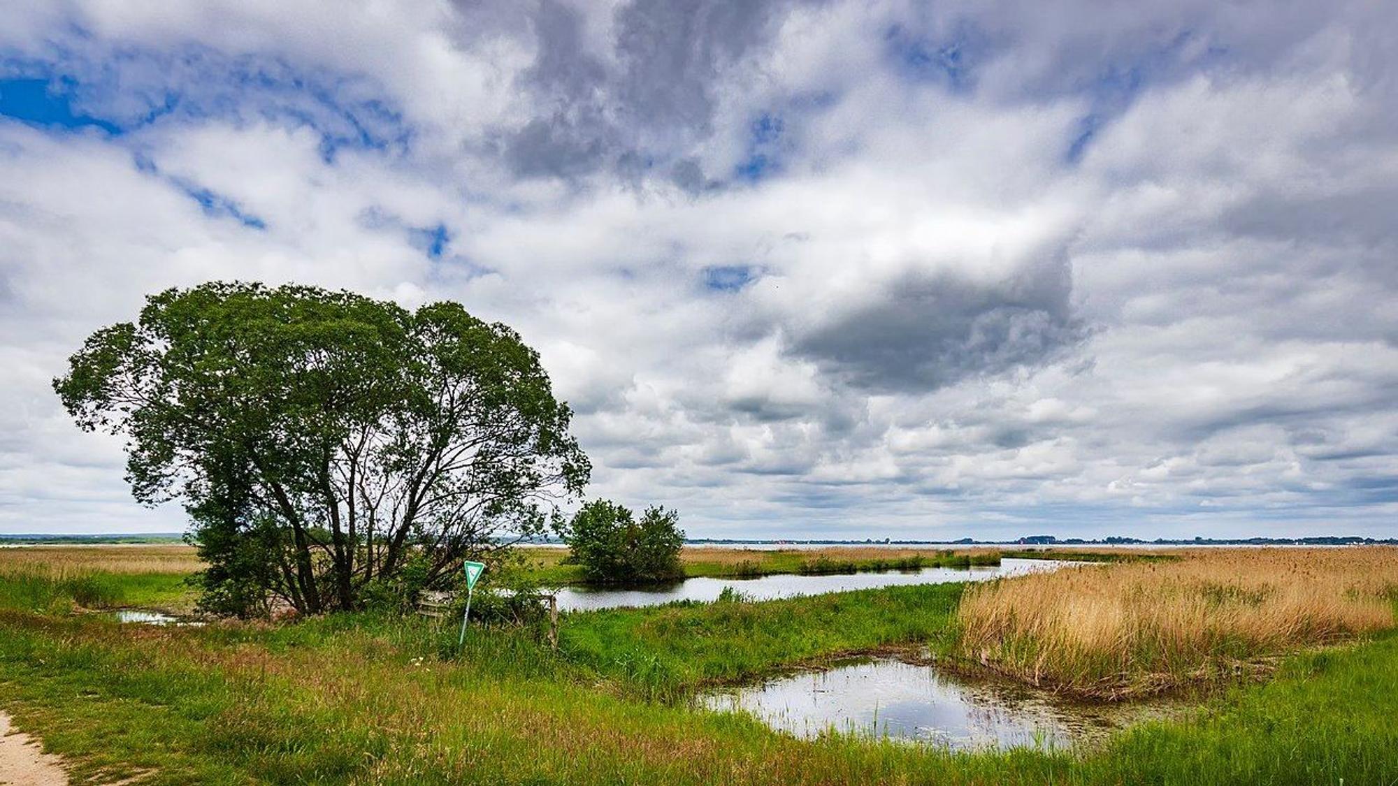 Wasserlandschaften im Naturpark Dümmer