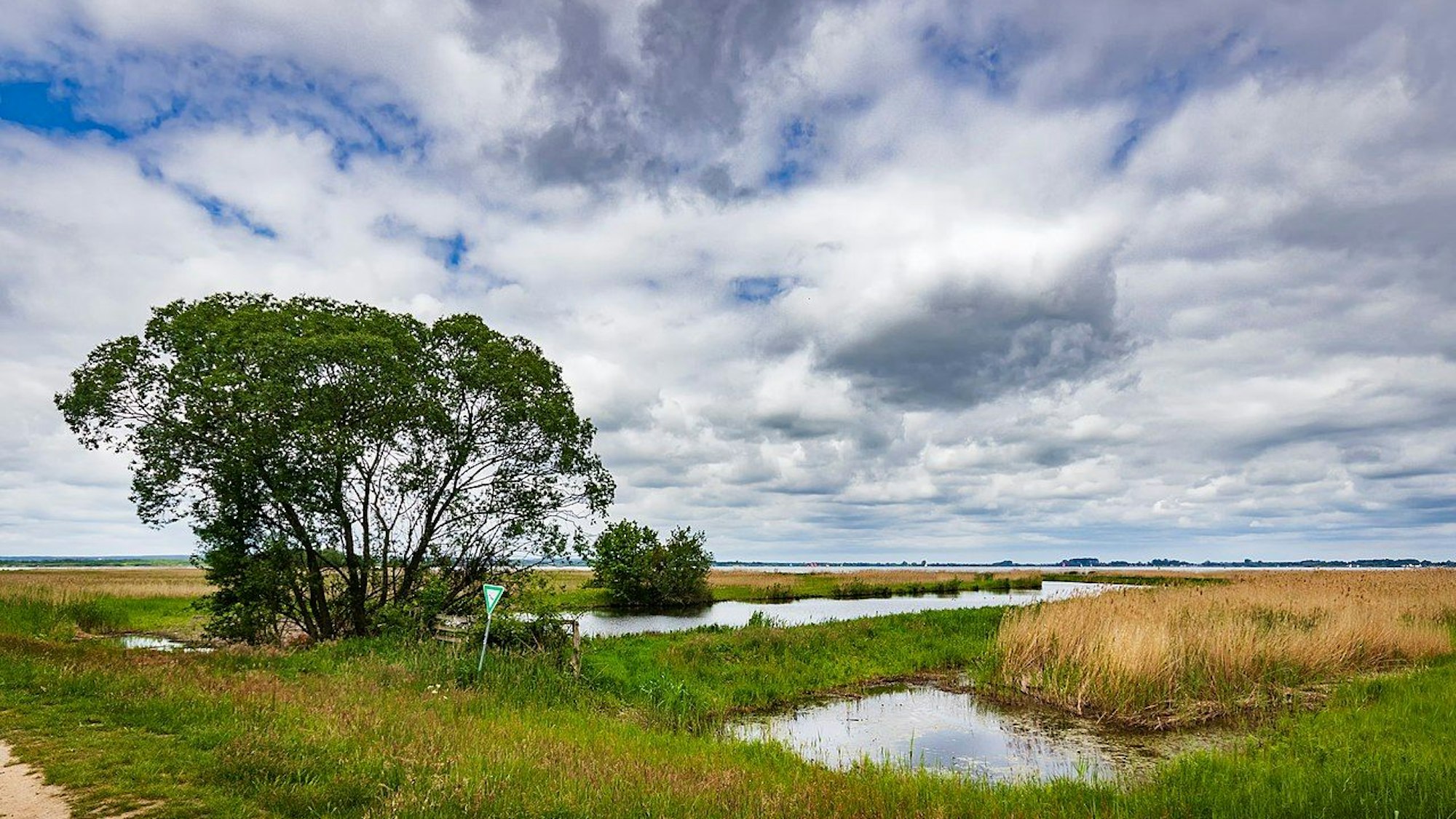 Wasserlandschaften im Naturpark Dümmer