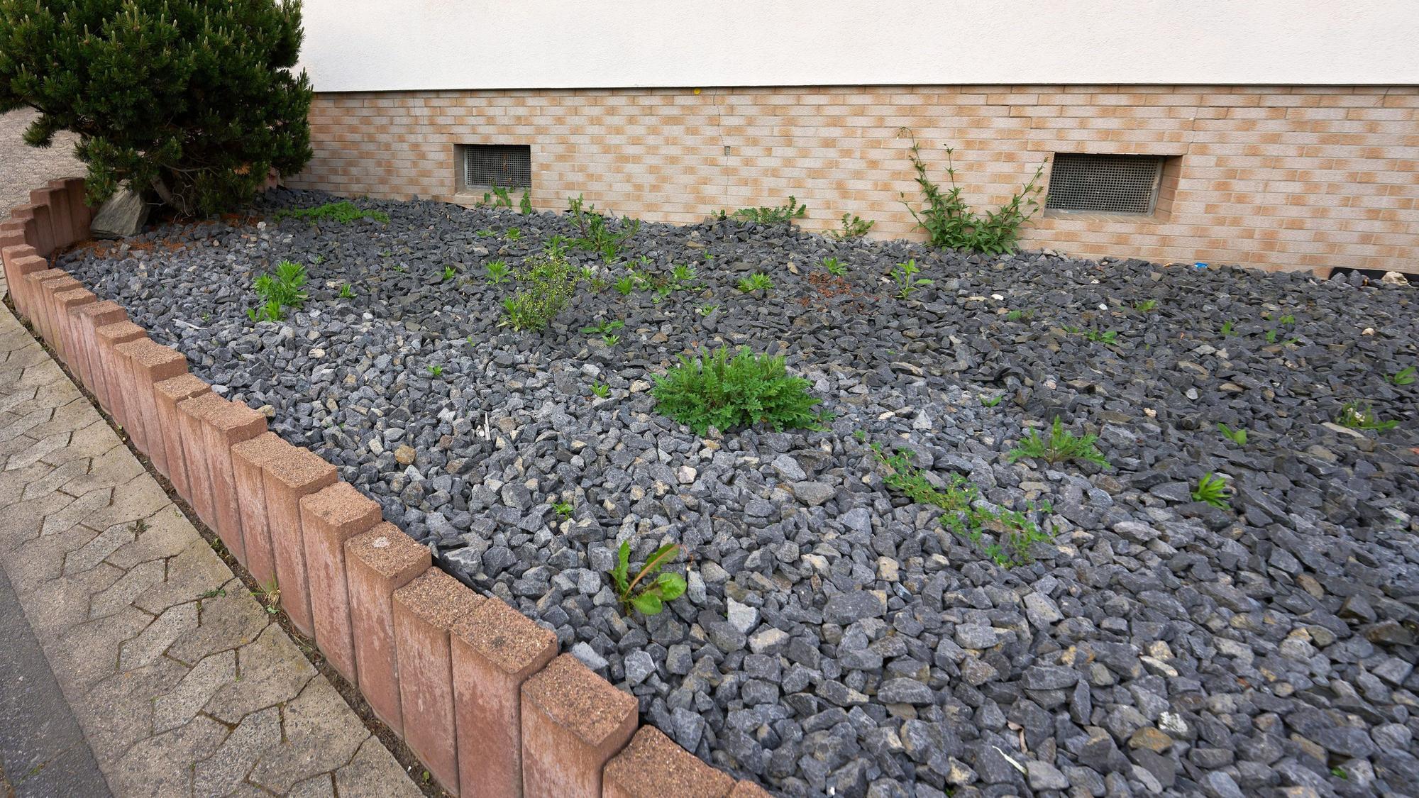 Kiesgarten