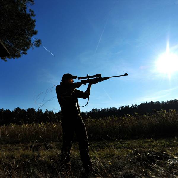 Eine Jägerin zielt mit ihrem Gewehr in einem Waldstück bei Lüneburg.