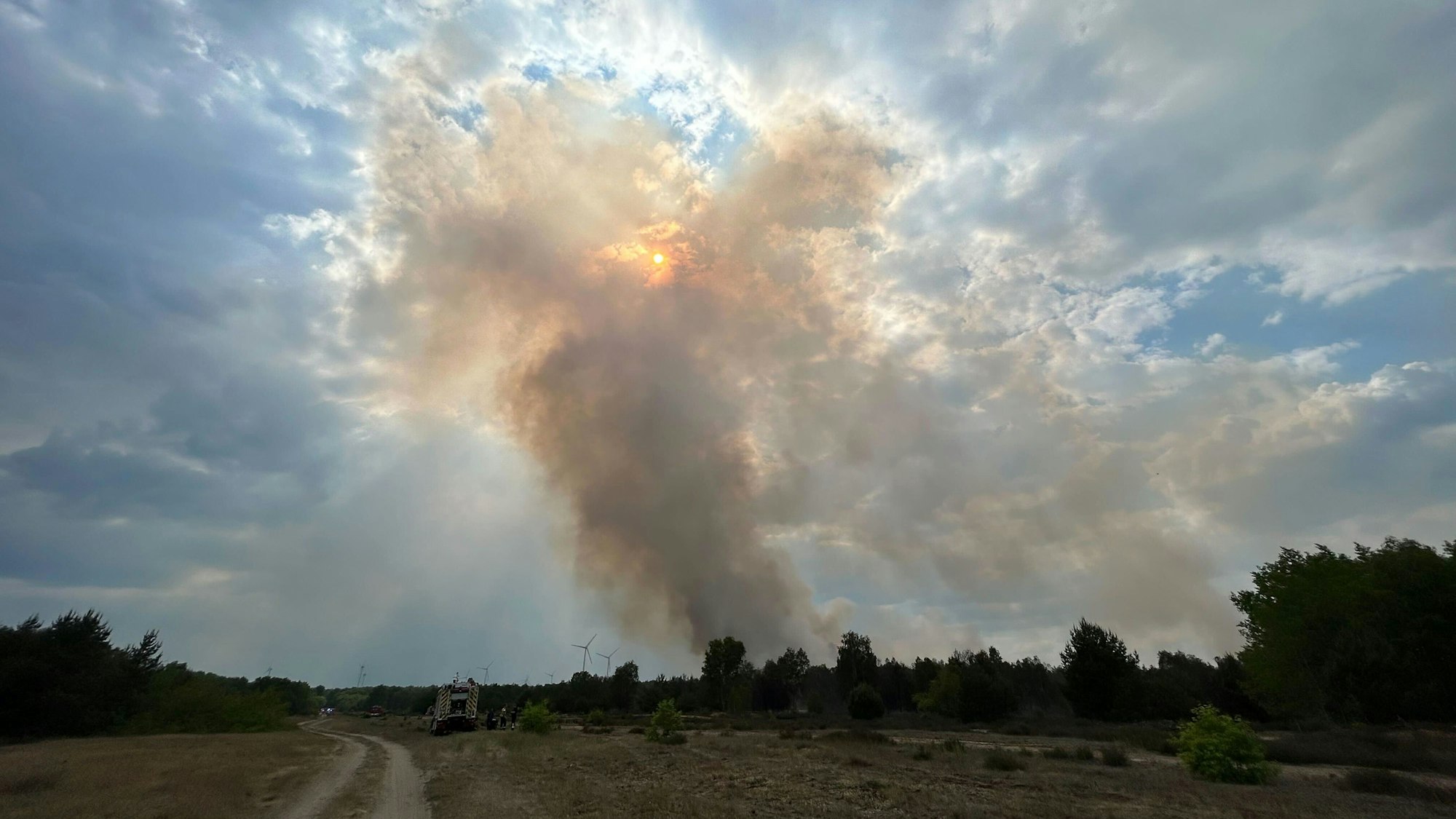 Rauch steigt aus einem Waldstück nahe Jüterbog in die Höhe und verdeckt die Sonne.