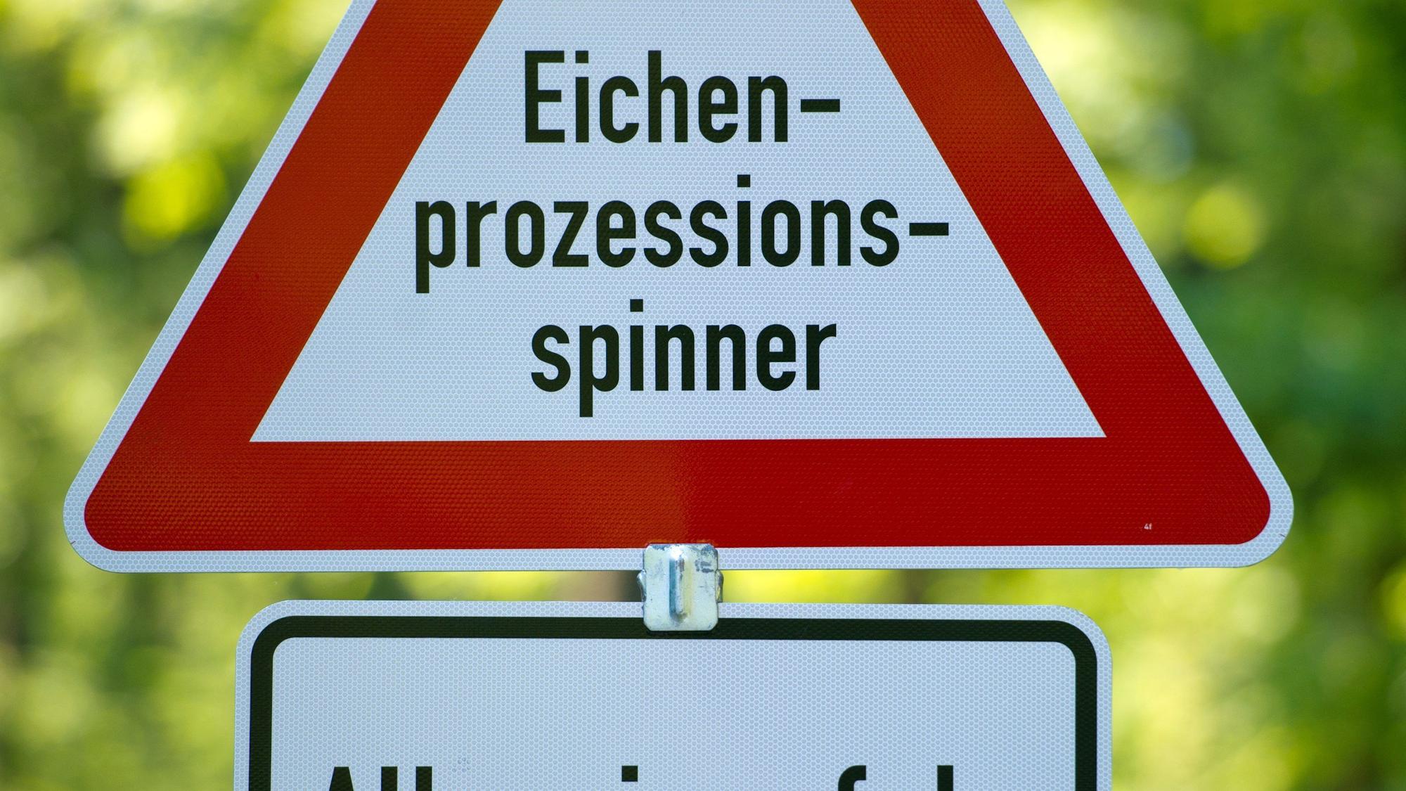 Das Foto zeigt ein Hinweisschild, das vor Eichenprozessionsspinner warnt.