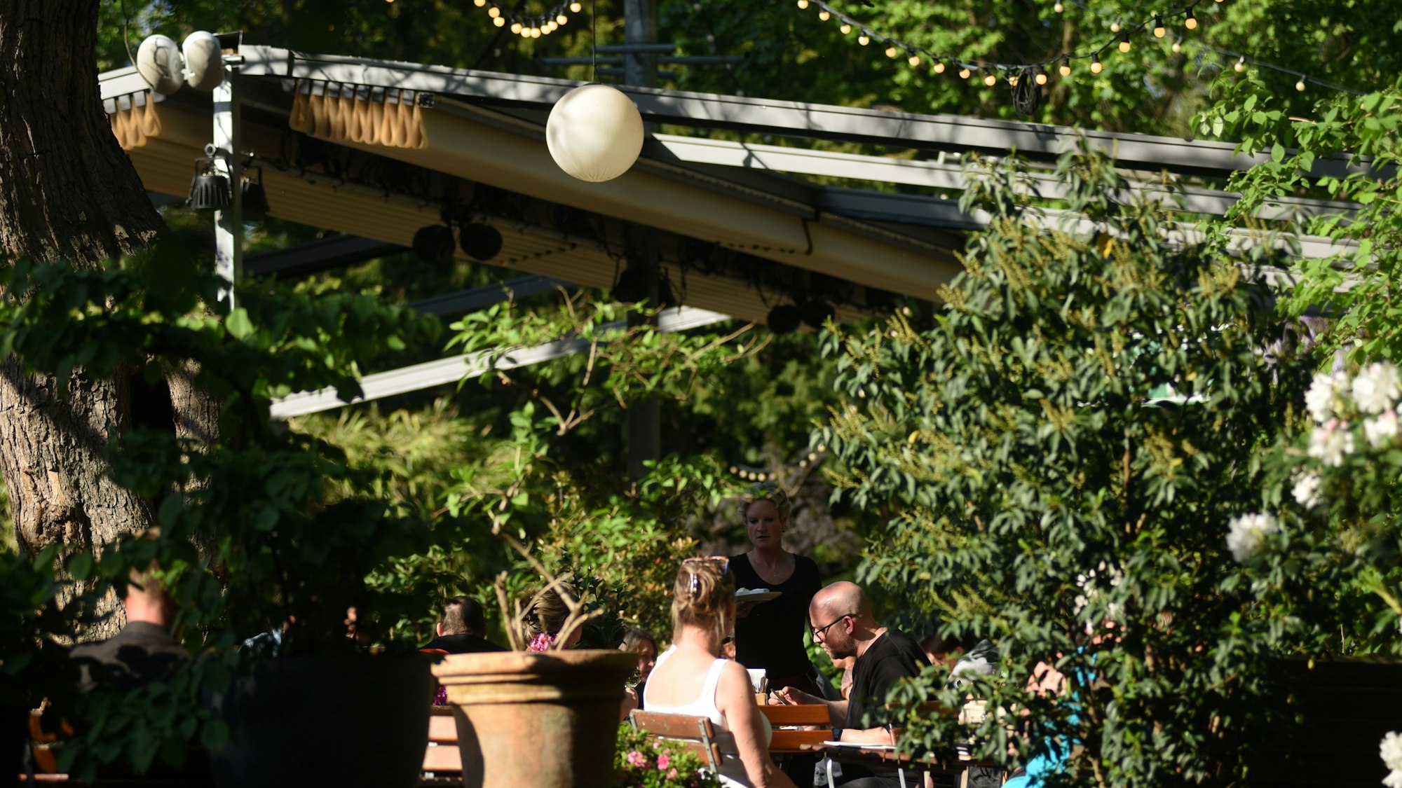 Gäste sitzen im Biergarten im Stadtgarten.