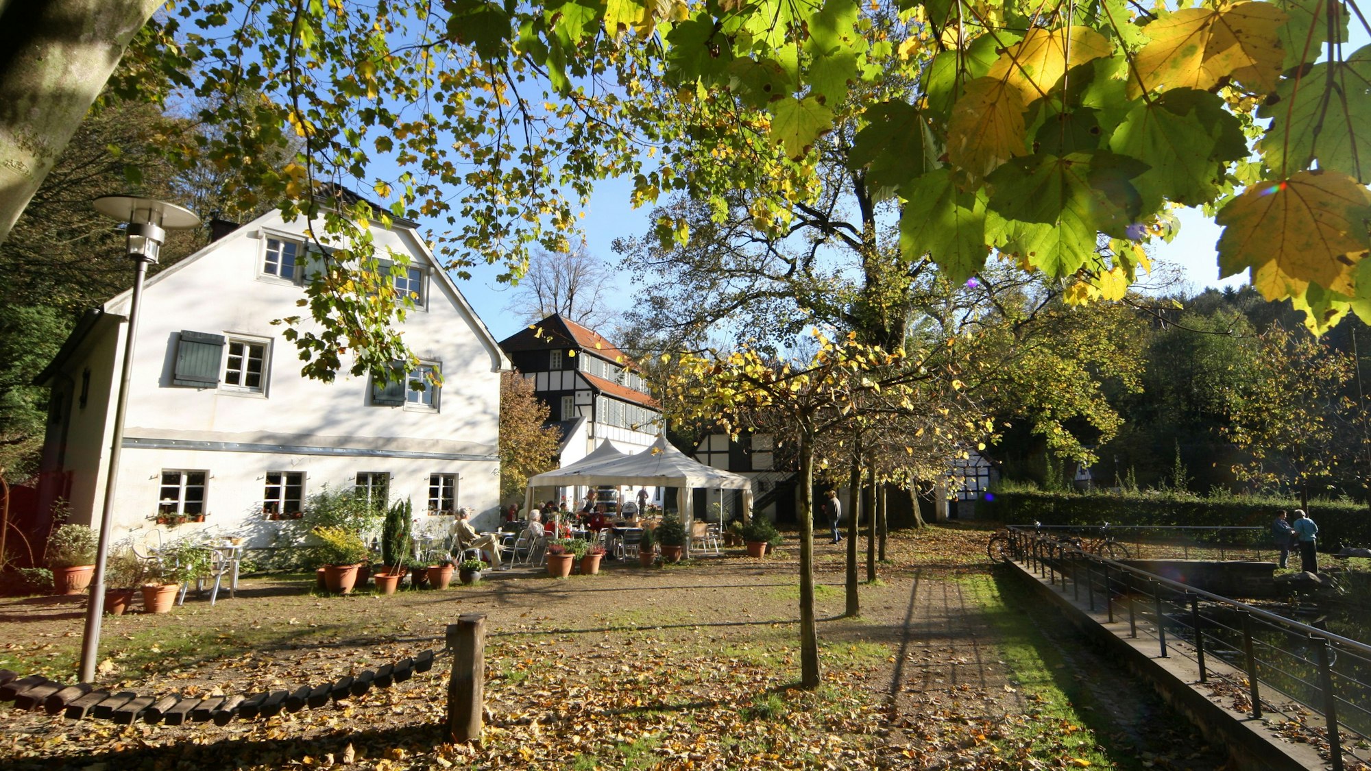 Bergisch Gladbach, Café Alte Dombach, Strundetal, Papiermuseum, LVR-Industriemuseum, Blätter, Laub, Herbst
