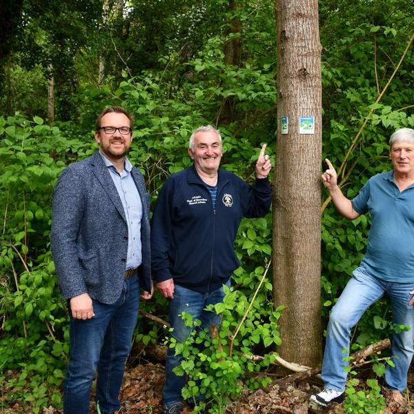 Beigeordneter Thomas Hambach (v.l.), Bergbaumuseumschef Günter Nießen, Eifelvereins-Wegewacht Michael Surbach und Constantin Hochgürtel vom Ordnungsamt an einem Baum mit einem Wanderwegweiser.