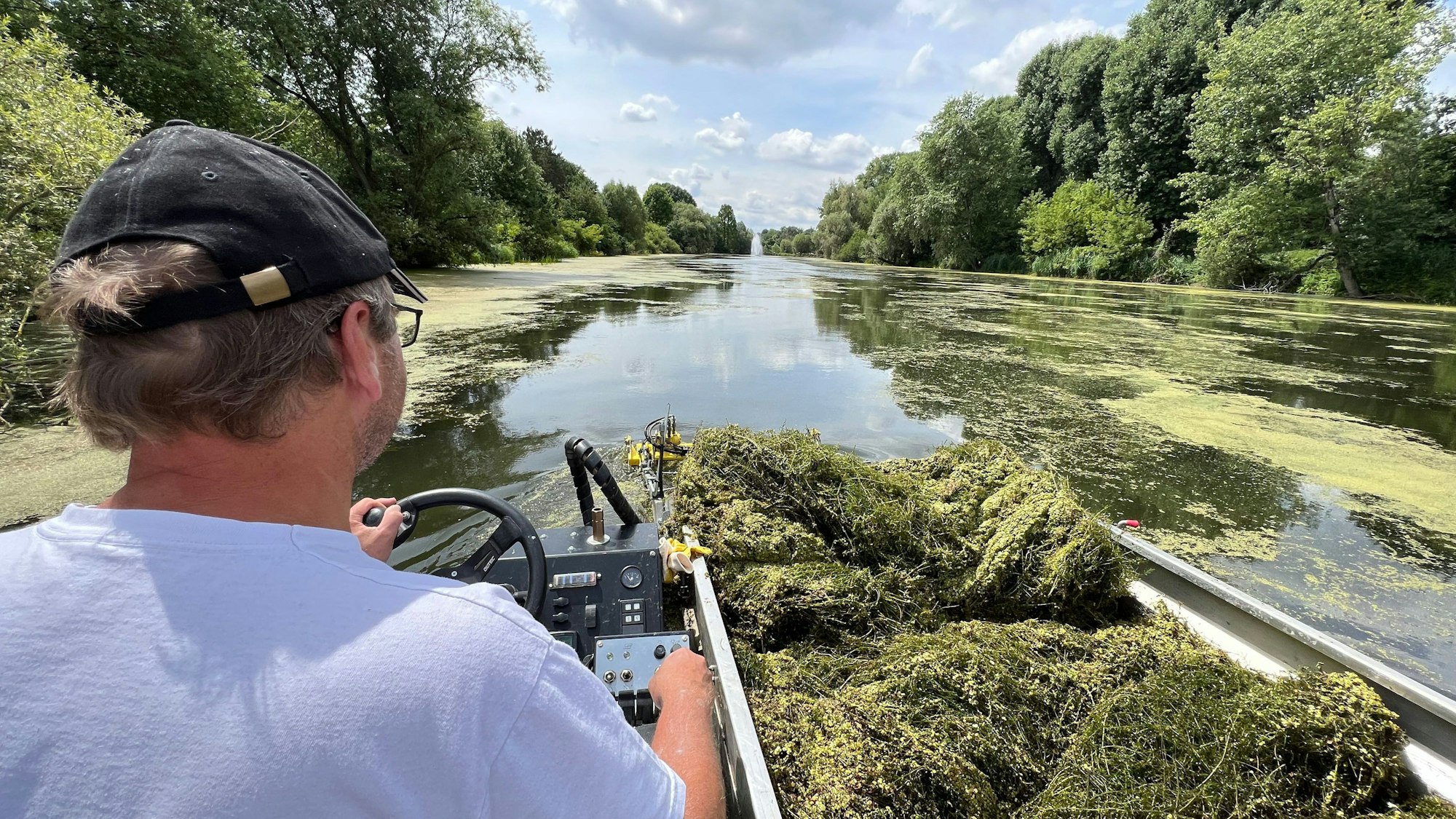 Ein Mann steuert ein Boot, neben ihm sind Wasserpflanzen zu sehen, die er aus dem Teich geholt hat, auf dem er bei strahlendem Sonnenschein unterwegs ist.