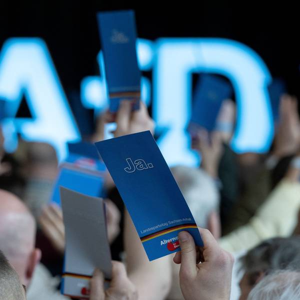 Delegierte auf dem Landesparteitag der AfD Sachsen-Anhalt im April dieses Jahres.