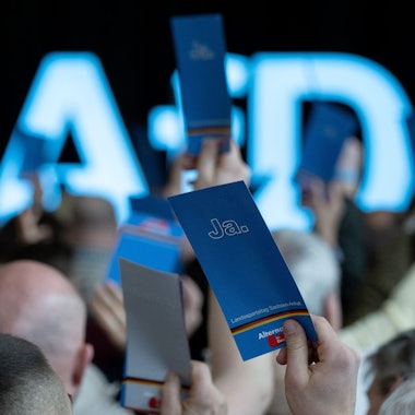 Delegierte auf dem Landesparteitag der AfD Sachsen-Anhalt im April dieses Jahres.