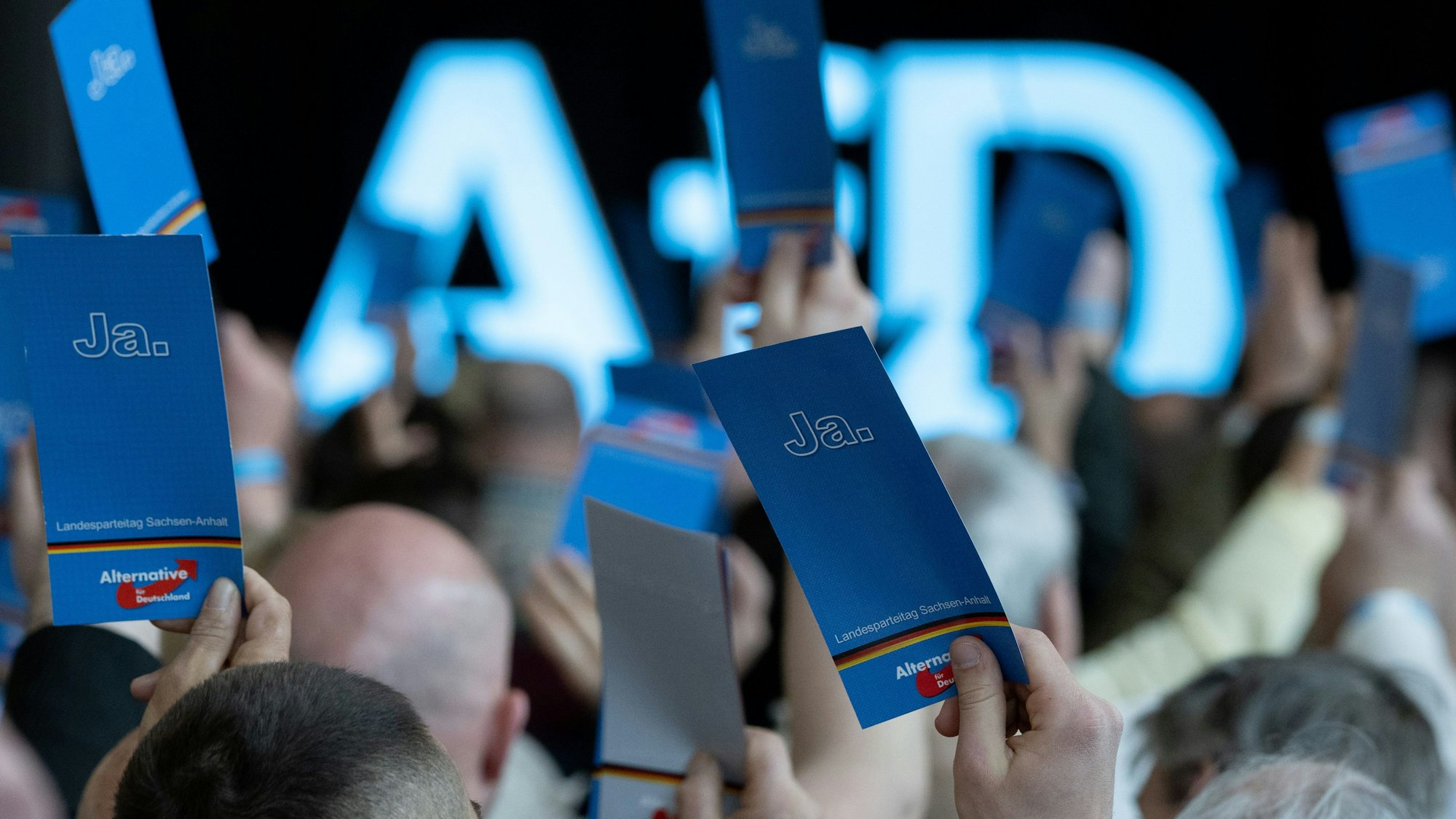 Delegierte auf dem Landesparteitag der AfD Sachsen-Anhalt im April dieses Jahres.