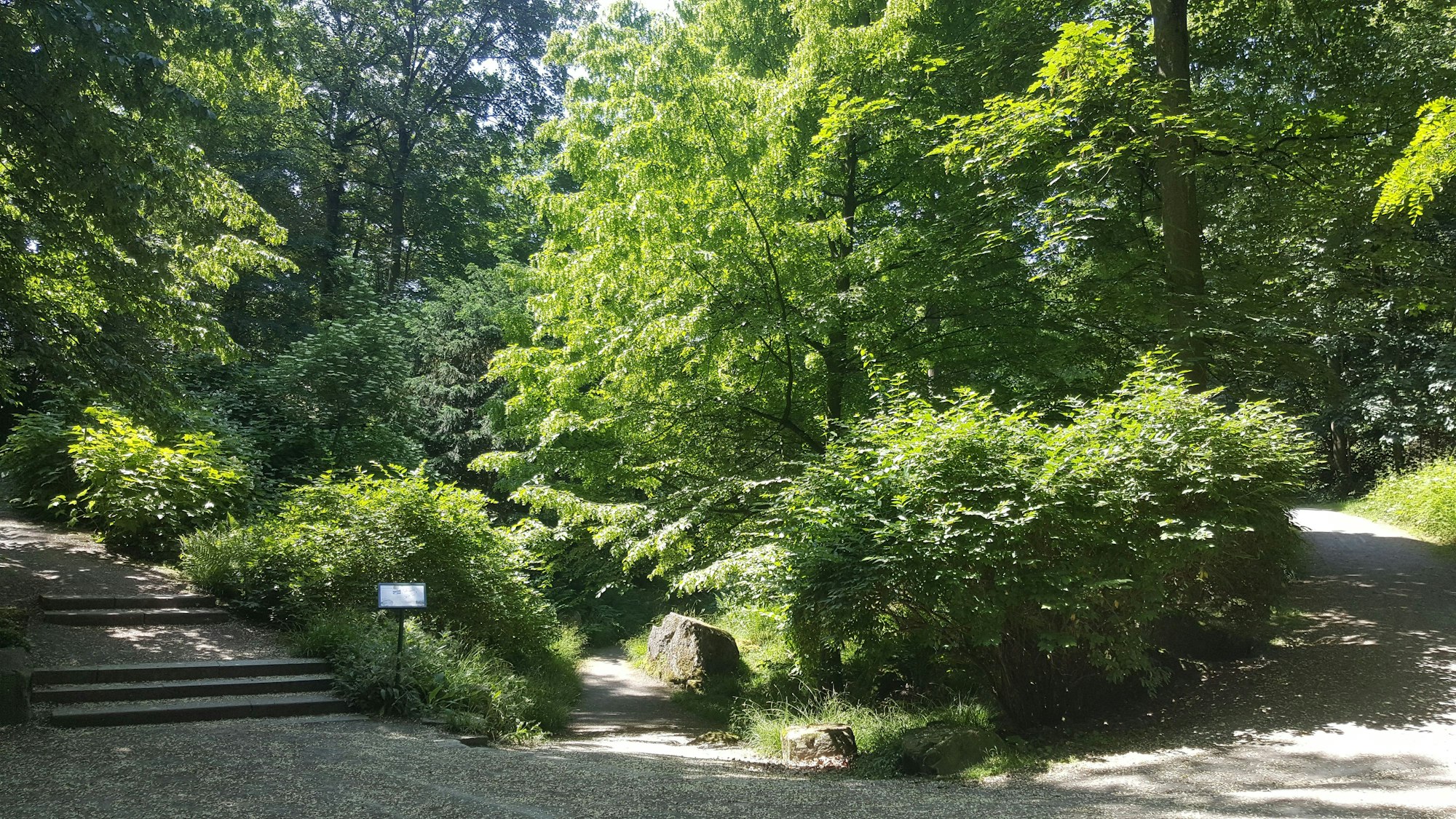 Park mit vielen Felsen und Grün