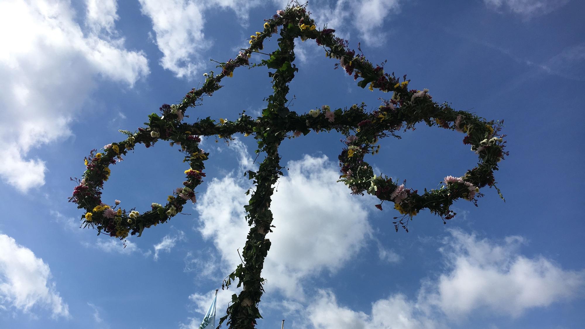 Mittsommerbaum Köln