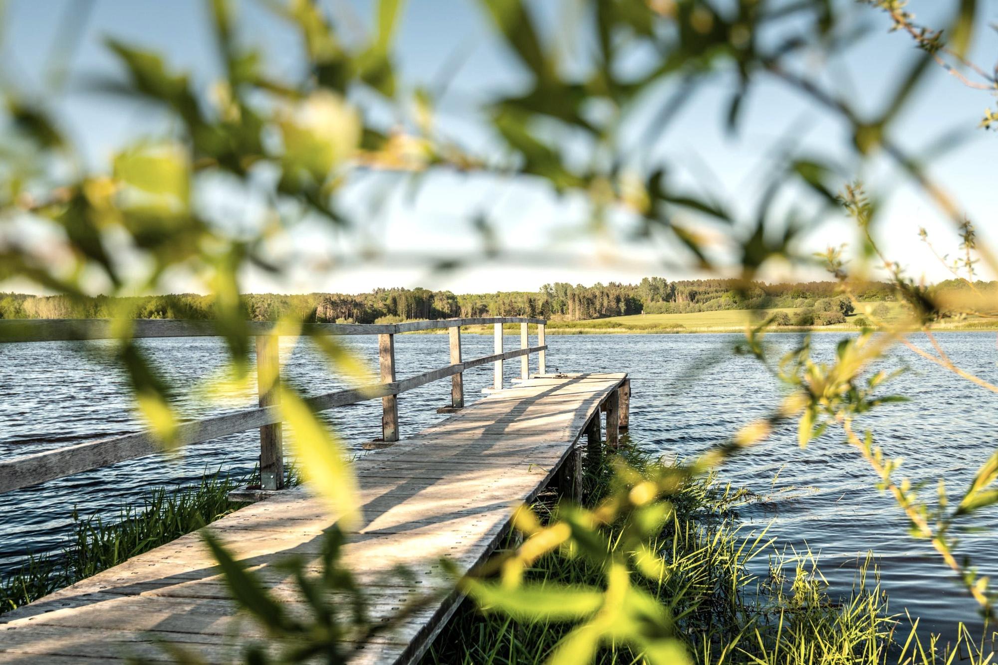 Jungferweiher Steg