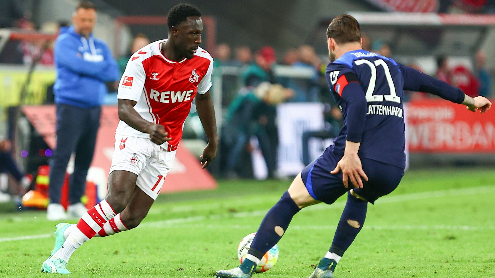 Kingsley Schindler ist glücklich beim 1. FC Köln, könnte den Verein aber noch verlassen.