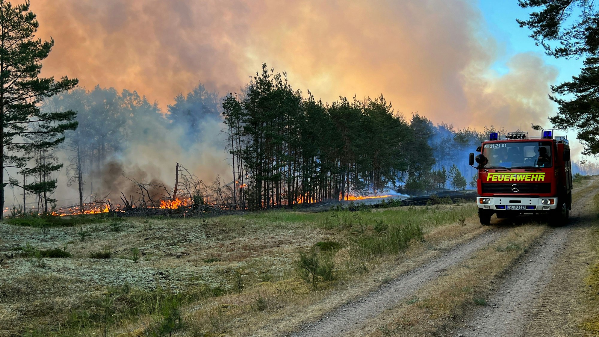 Waldbrand in Lübtheen: Ein Feuerwehrfahrzeug steht an dem Waldgebiet, in der Nähe sind auch zwei frühere Truppenübungsplätze.