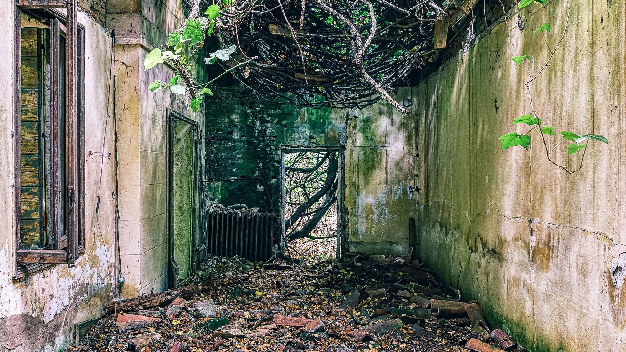 Auf der verlassenen und angeblich von Geistern heimgesuchten Insel Poveglia in Italien liegt eine verfallene Krankenhausruine in Trümmern.