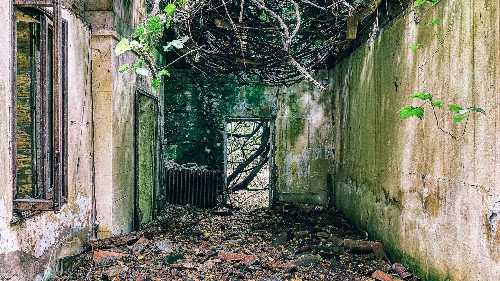Auf der verlassenen und angeblich von Geistern heimgesuchten Insel Poveglia in Italien liegt eine verfallene Krankenhausruine in Trümmern.