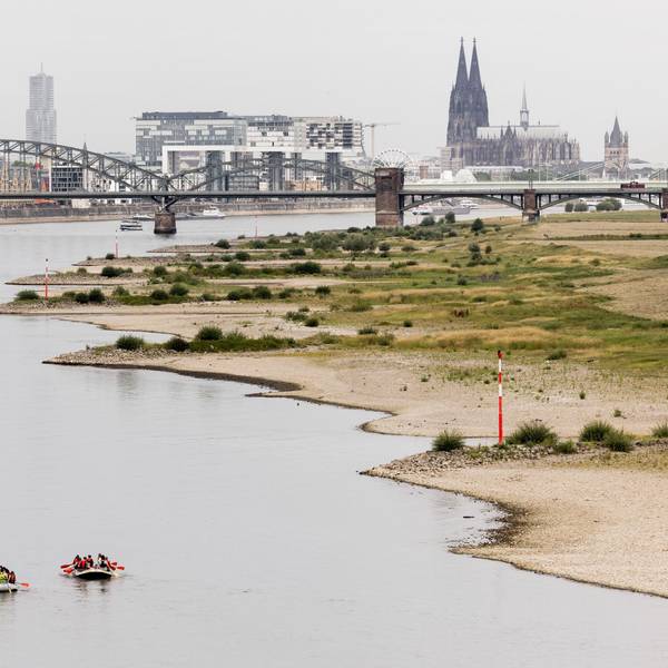 Bereits im vergangenen Jahr hatte auch wegen des heißen Sommers der Rhein zeitweise Niedrigwasser. Im Sommer 2023 könnten wegen des Klimawandels globale Temperaturrekorde fallen.