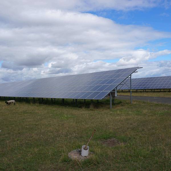 Kassel, Deutschland 27.07.2022: Solarpark Fuldatal-Rothwesten. Im Vordergrund sind Schafe zu sehen.