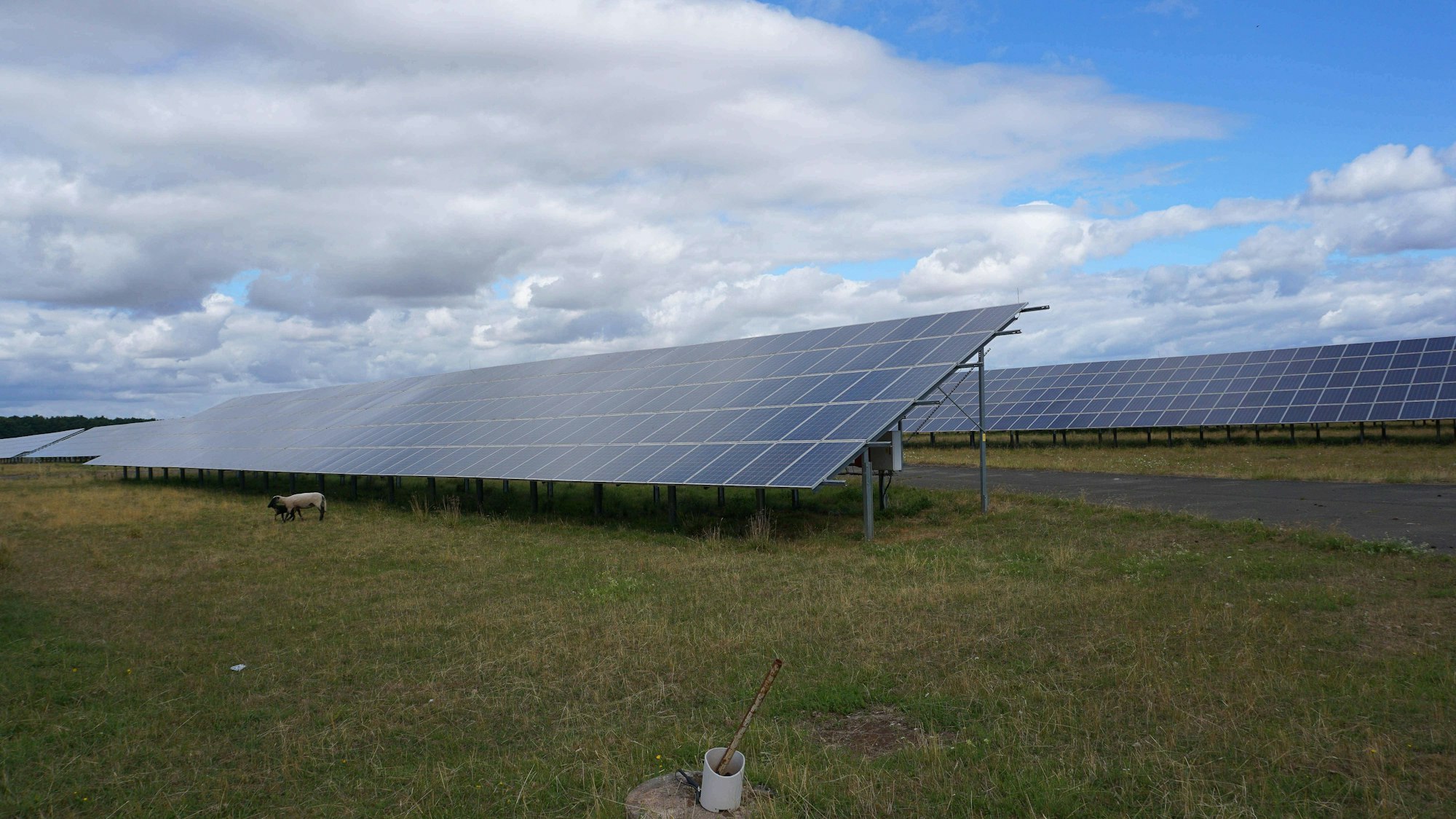 Kassel, Deutschland 27.07.2022: Solarpark Fuldatal-Rothwesten. Im Vordergrund sind Schafe zu sehen.
