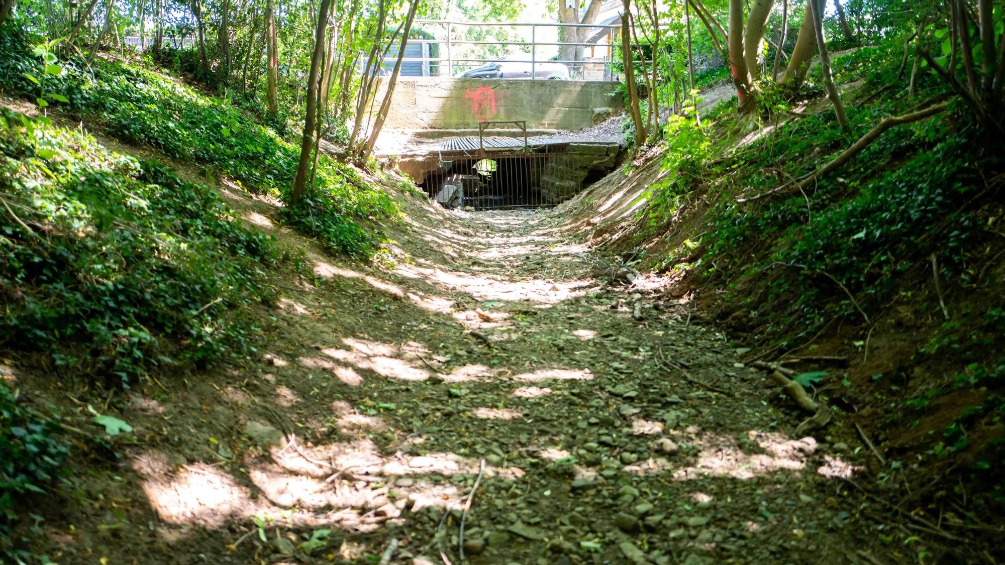 Das Bild zeigt den ausgetrockneten Mitbach in Euskirchen.