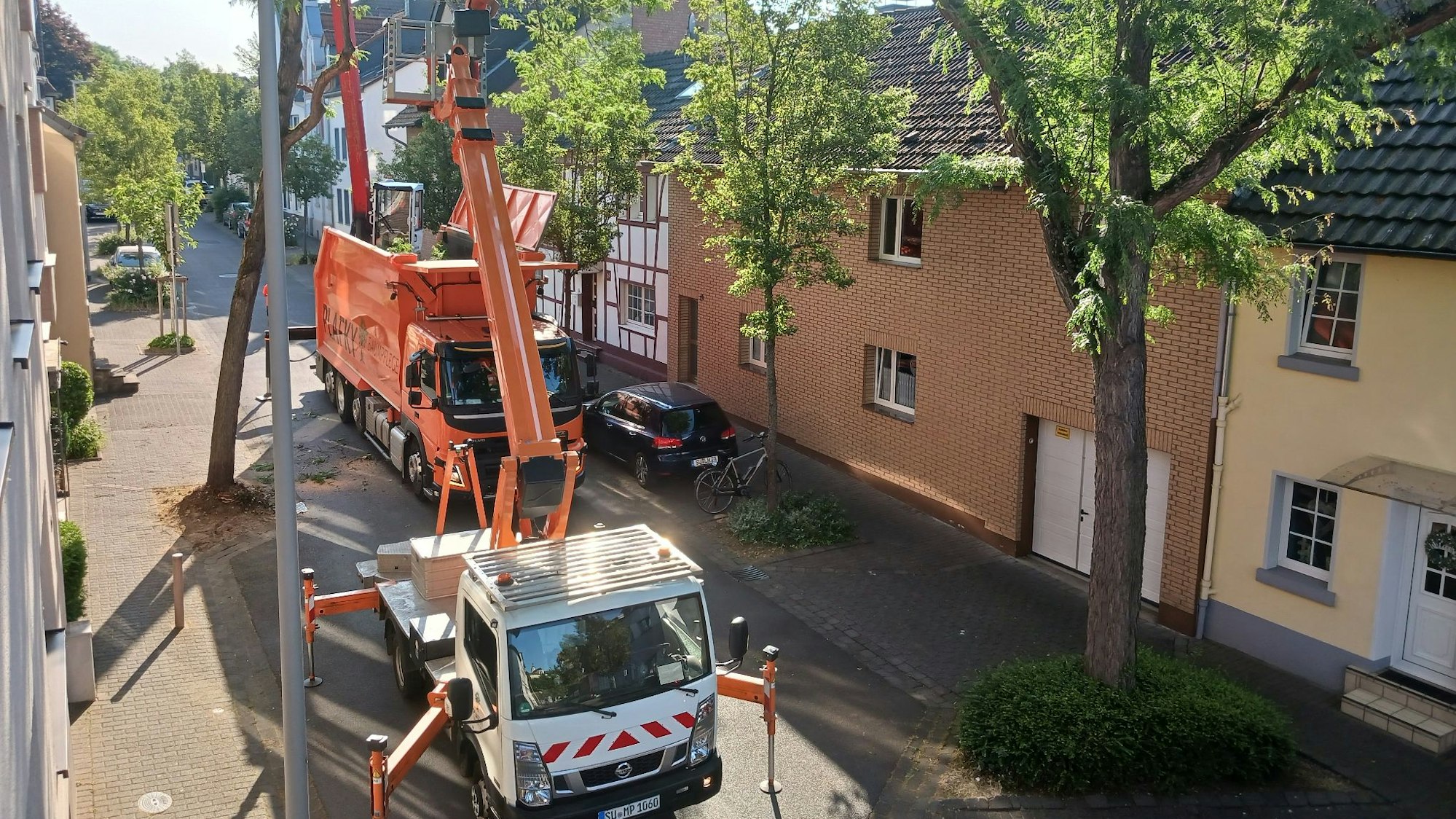 Baumfällung an einer Straße.