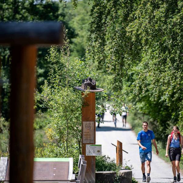 Wanderer sind im Nationalpark Eifel Eifel unterwegs.