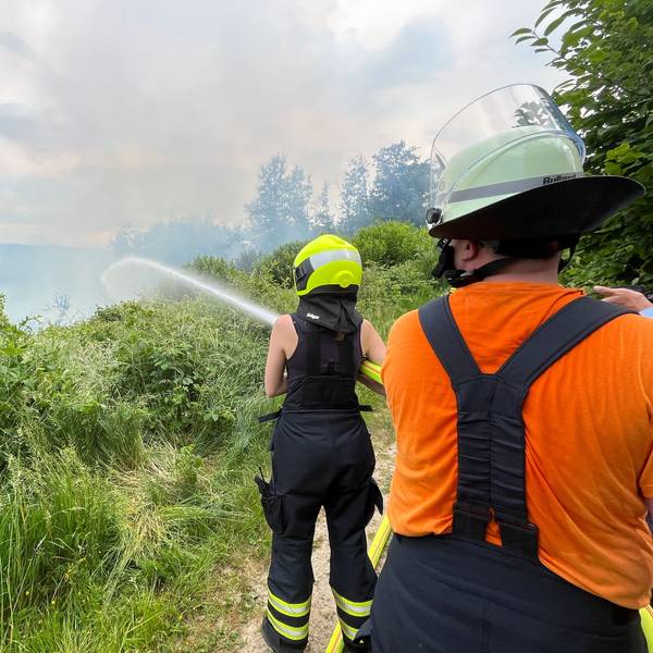Zwei Feuerwehrleute stehen in dichter Vegatation am Waldrand und halten einen dicken Wasserstrahl auf züngelnde Flammen und Rauch.