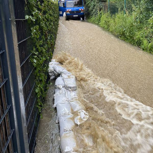 Der Knipperbach strömt über den Fußweg.