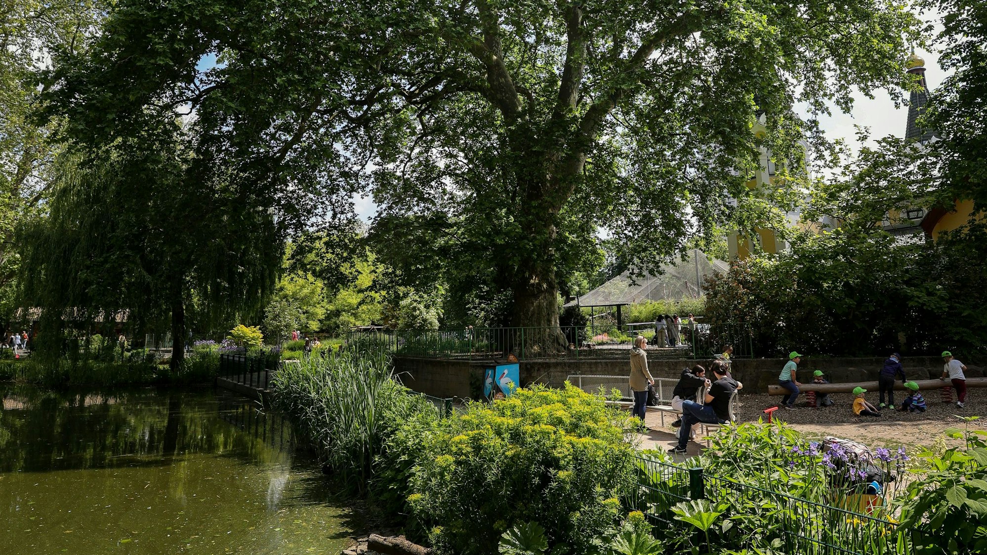 Verschiedene Bäume stehen im Kölner Zoo.
