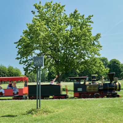 Blick auf den Rheinpark in Köln, wo regelmäßig die Bimmelbahn fährt. Menschen genießen das Grün in Deutz.