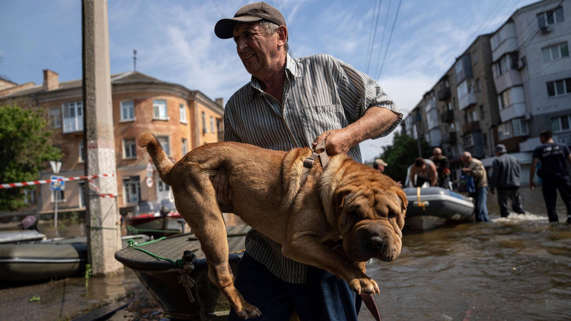 9. Juni 2023, Ukraine, Cherson: Ein Mann trägt seinen Hund nach der Evakuierung aus einem überfluteten Viertel am linken Ufer des Dnipro in Cherson.