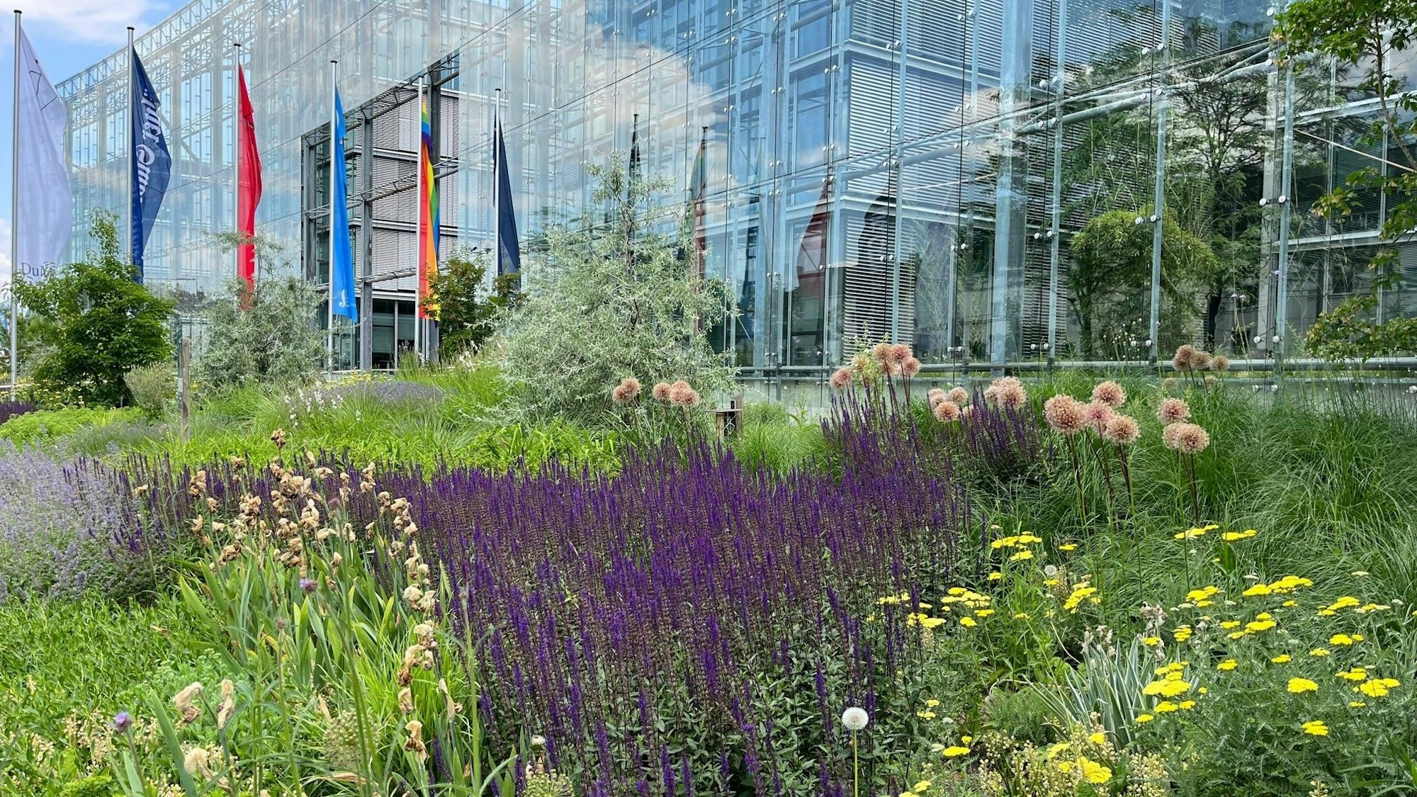 Vorgarten des Neven DuMont Hauses