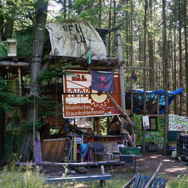 Bild auf ein verwaistes Baumhaus im Hambacher Forst.