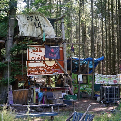 Bild auf ein verwaistes Baumhaus im Hambacher Forst.