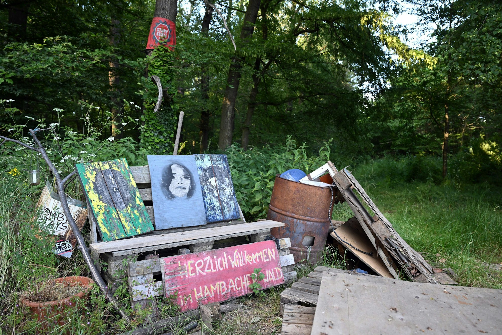 Herzlich Willkommen im Hambacher Wald· steht auf einem Schild am Waldrand. Mit der Räumung des Hambacher Forsts im Jahr 2018 beschäftigt sich am Freitag (16.06.2023) das nordrhein-westfälische Oberverwaltungsgericht in Münster.