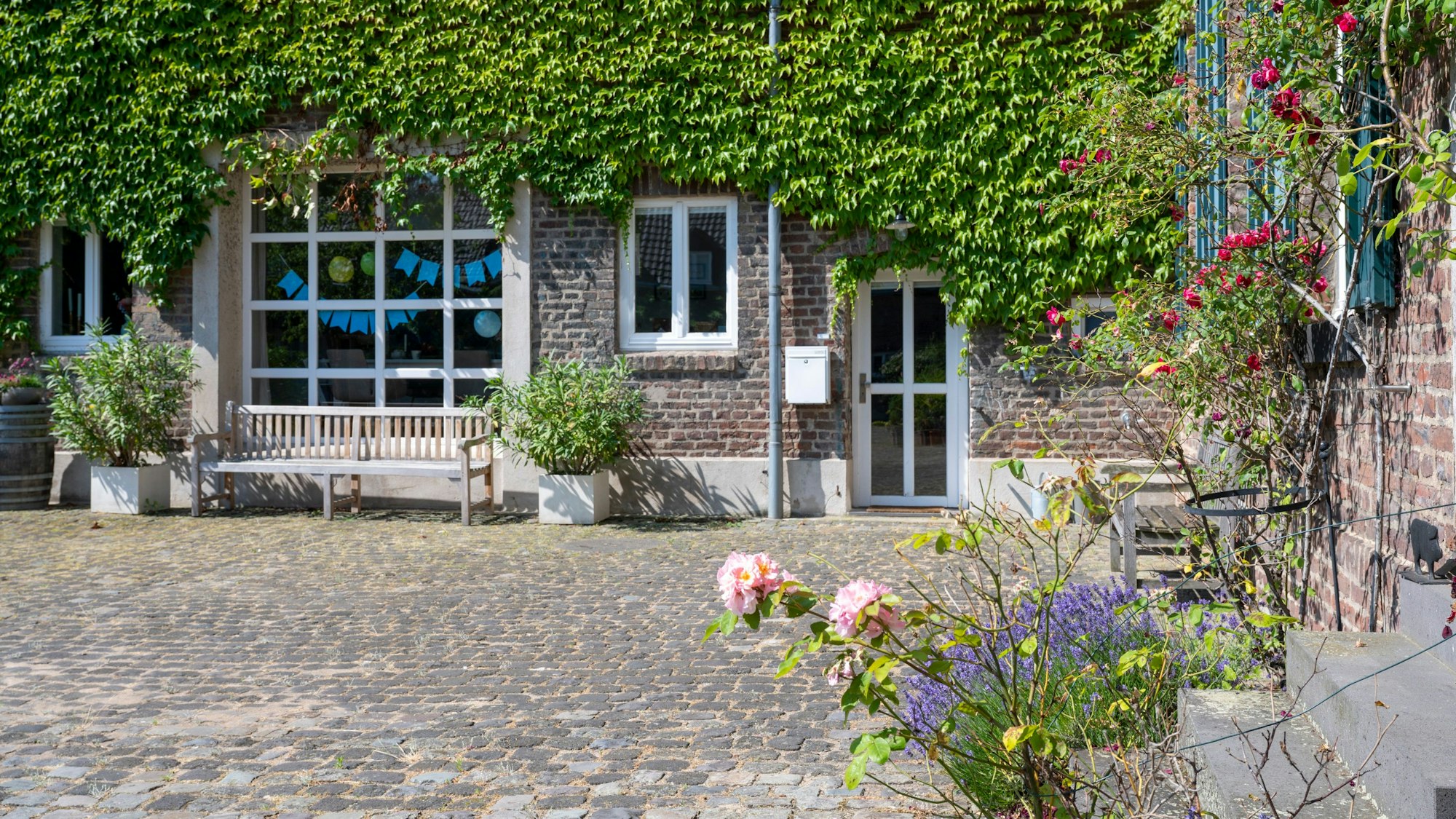 Blumen und Grün im Innenhof des Vierkanthofs in Widdersdorf