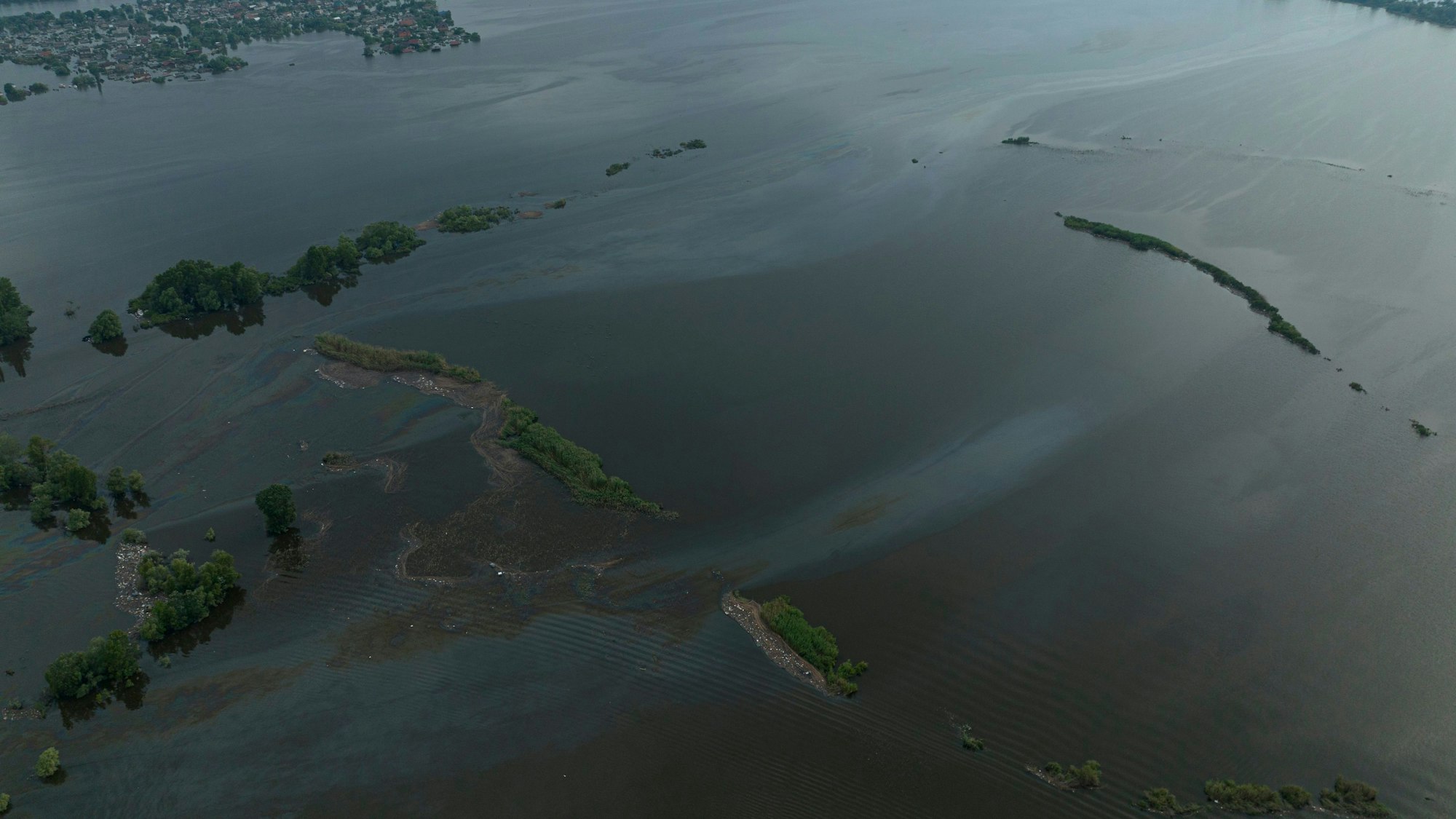 10. Juni 2023, Ukraine, Cherson: Ölverschmutzung im Fluss Dnipro im überfluteten Cherson. Die Zerstörung des Kachowka-Damms und das Auslaufen des Sees im Süden der Ukraine haben auch Naturschutzgebiete schwer getroffen. Ackerflächen sind geflutet. Wegen der zerstörten Kanalisation erhöhen Keime die Seuchengefahr. Aber die Folgen reichen viel weiter.