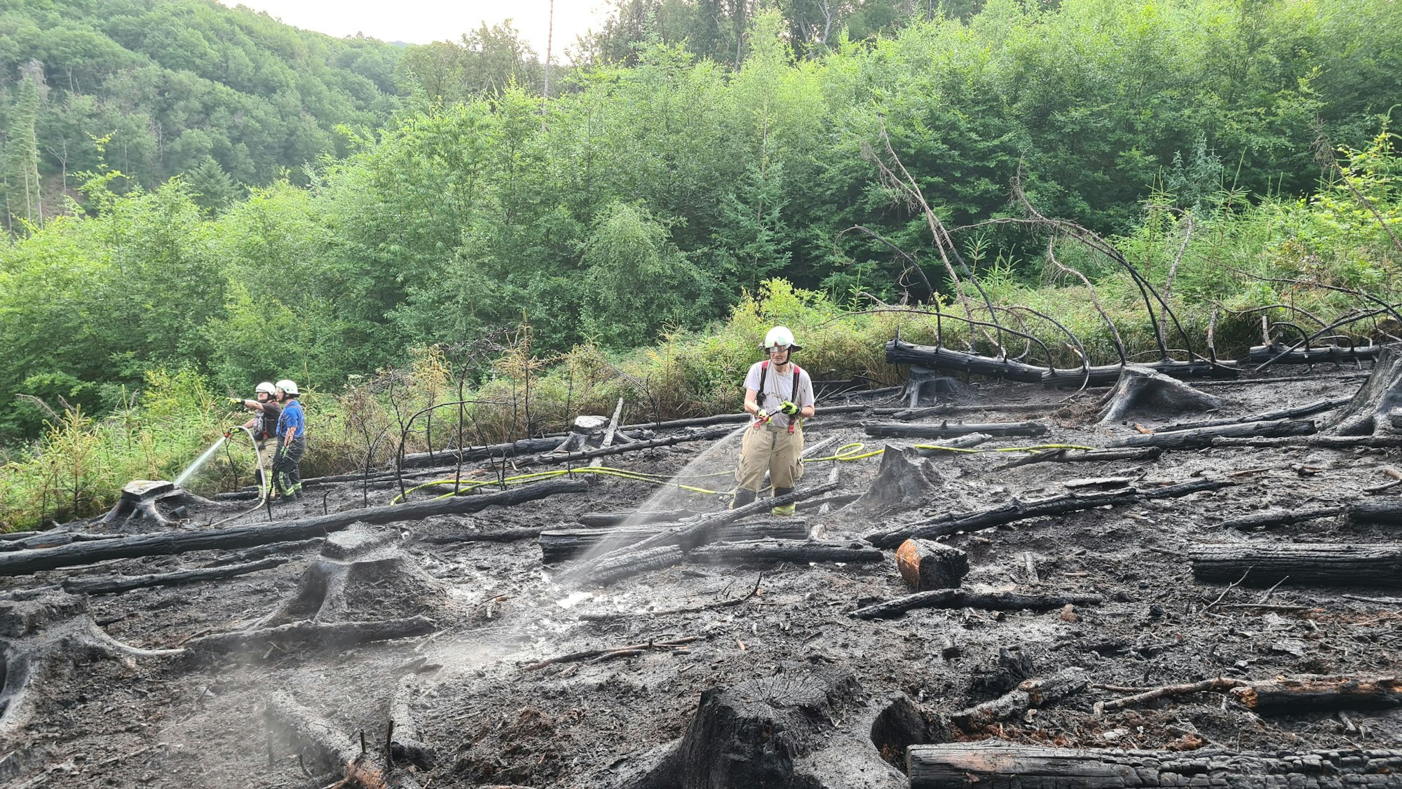 In Burscheid-Paffenlöh haben rund 1,4 Quadratkilometer Wald gebrannt.