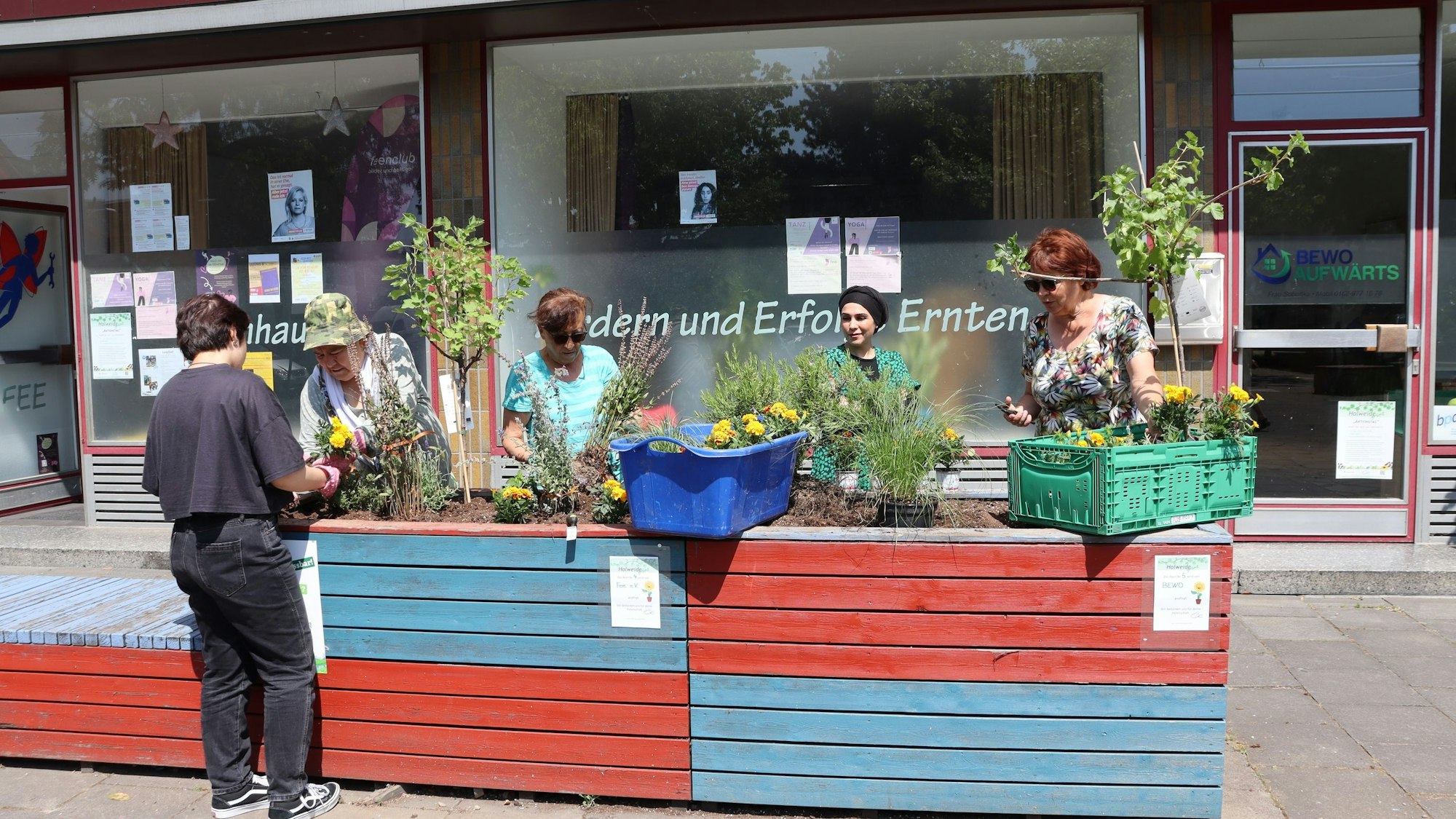Fünf Frauen pflanzen Blumen und Beeren-Sträucher in rot-blaue Hochbeete.