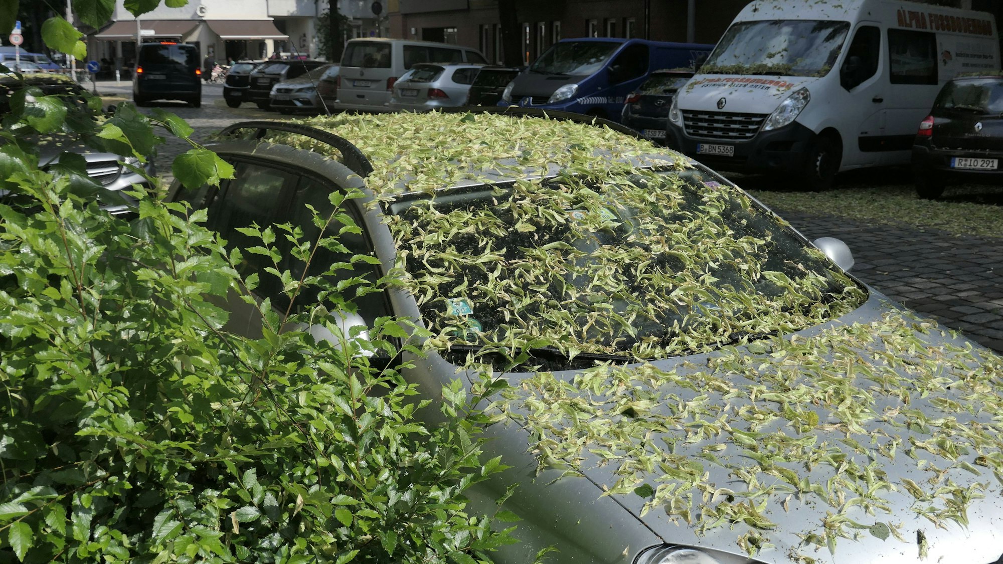 Ein von Honigtau überzogenes Auto in Berlin-Neukölln.
