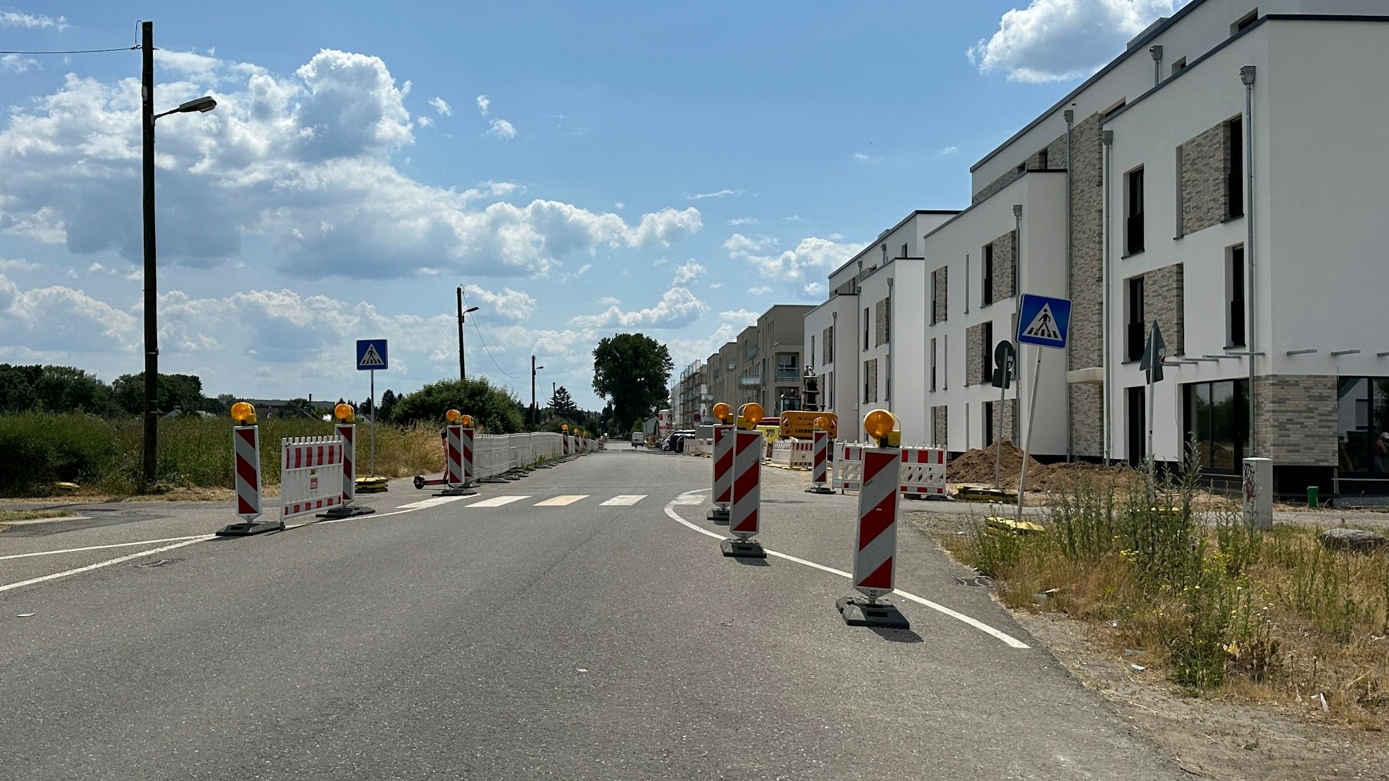 Bild der Allee bei gutem Wetter, rechts ein Neubaugebiet