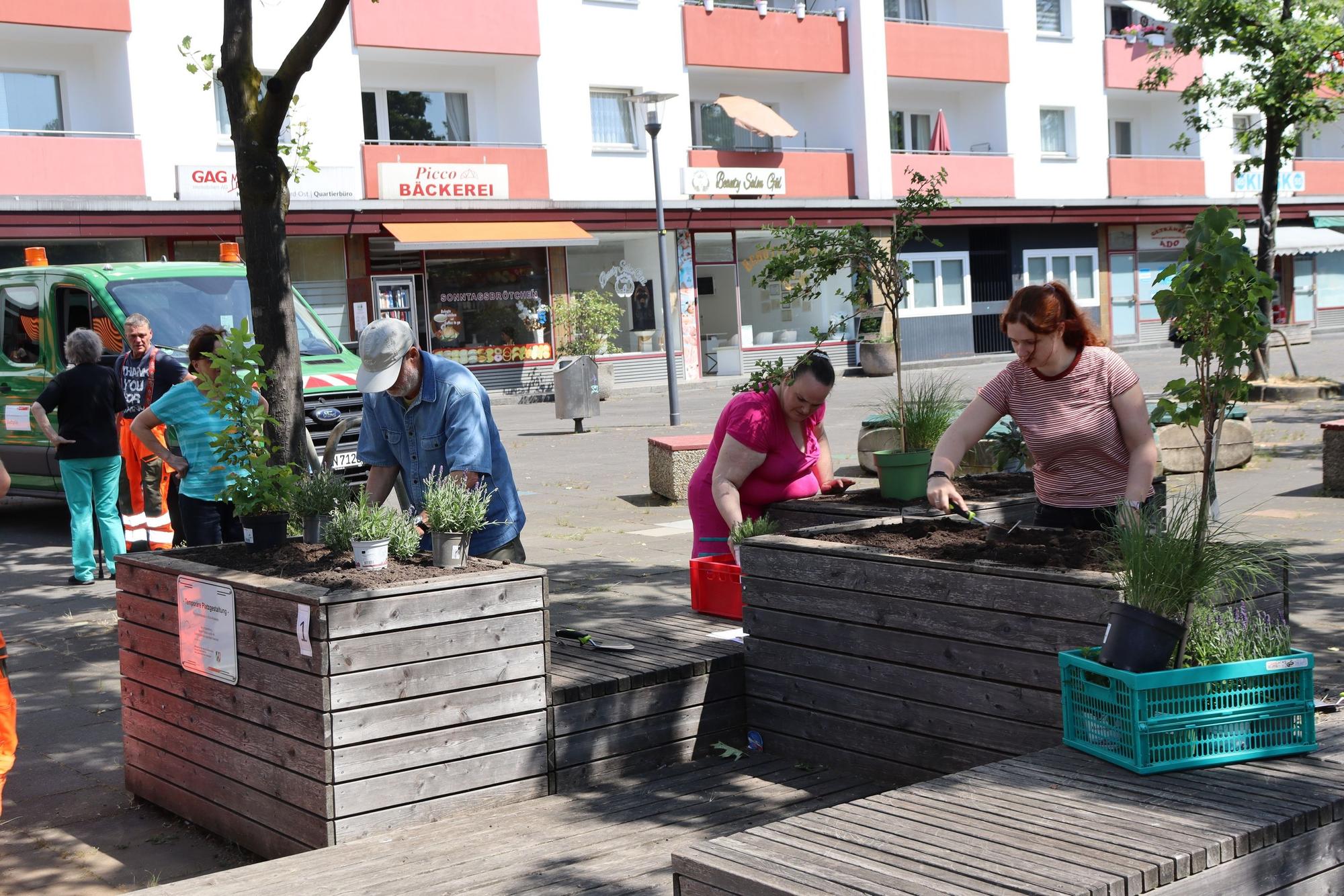 Menschen stehen an Hochbeeten und bepflanzen diese.